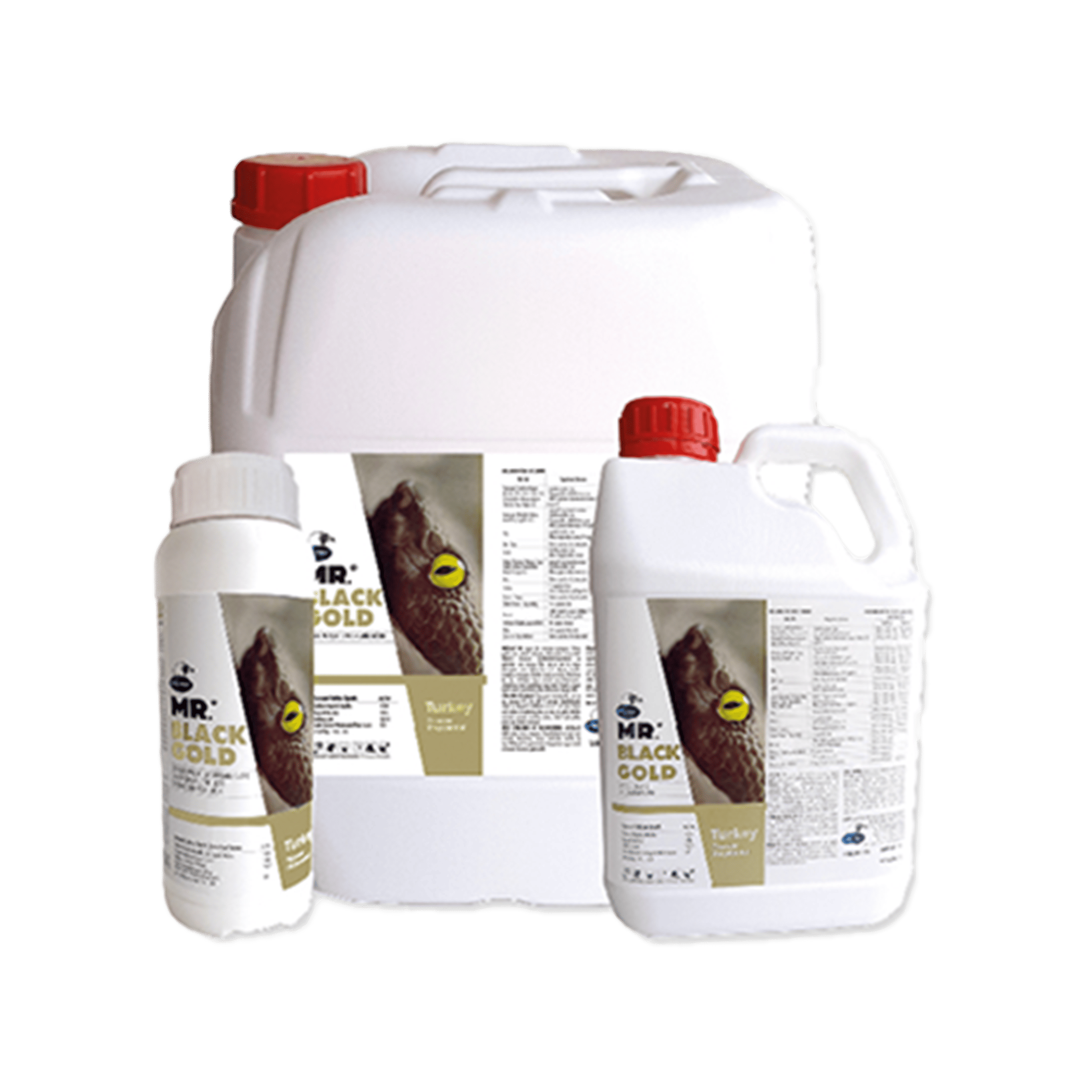 Mr. Black Gold