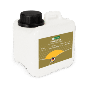 Rootina (Root Development)